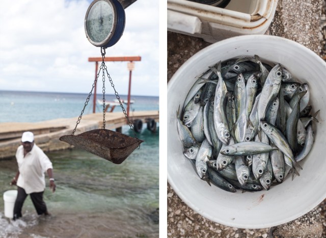 ITBF-FishermansBay-02